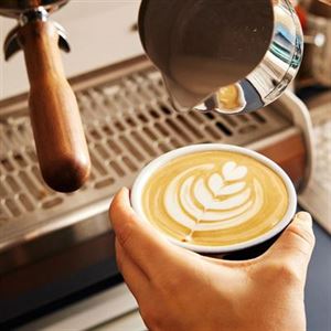 From Bean to Cup, Perfectly Roasted