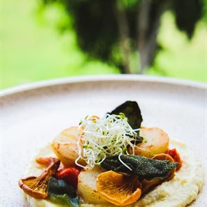 Seasonal Dishes Crafted to Perfection