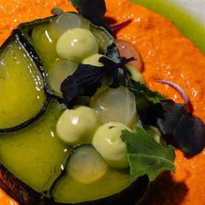 New Season Additions