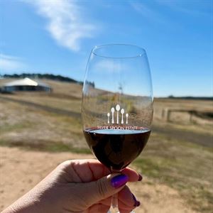 The Wine Tasting Experience