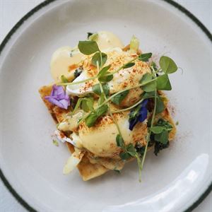 Where Fresh Brunch Meets Great Coffee