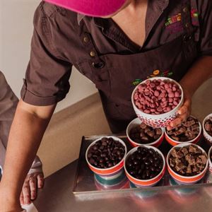 Chocolate Discovery Masterclass