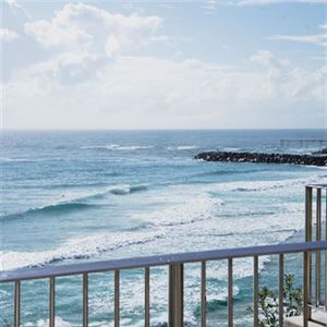 Winter Whale Watching at Black Dingo