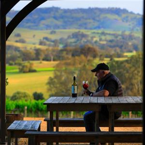 From Vine to Glass at God’s Hill