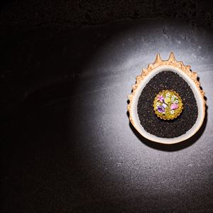 The Pines X Nelly Robinson: Degustation by NEL