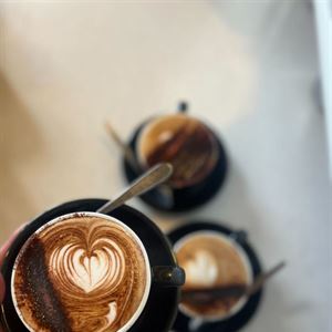 Coffee, The Elaia Way