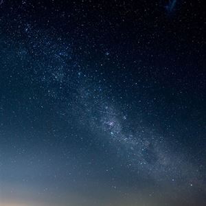 Winter Grazing and Gazing