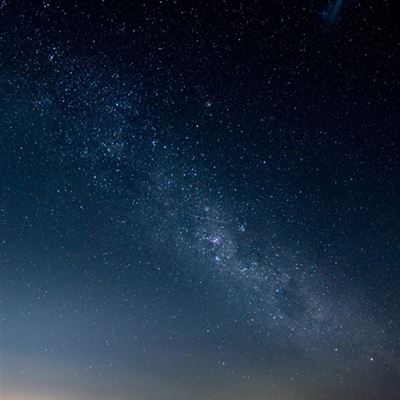 Yarra Valley Restaurant 1309