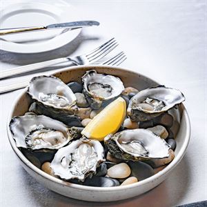 $3 Freshly Shucked Oysters