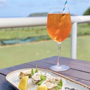 Ocean Views From Every Seat