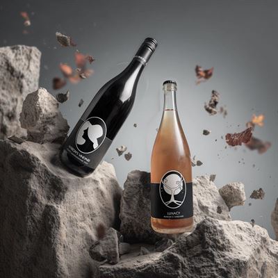 Elaia Greek Cafe & Restaurant