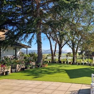 Mother's Day Breakfast & Lunch