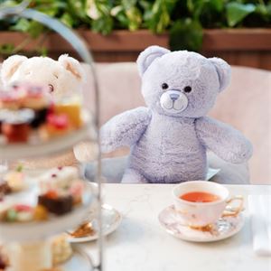 Teddy Bear High Tea Buffet At Citrique
