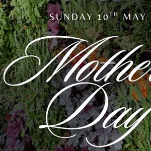 Mother’s Day At Stella Dining & Rooftop