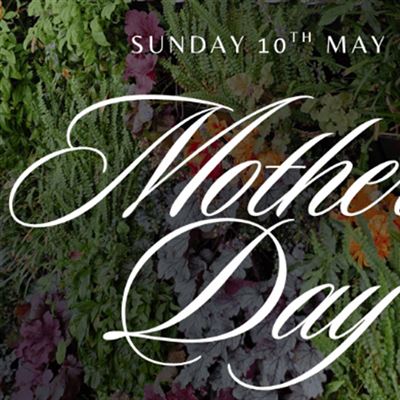 Stella Restaurant and Bar