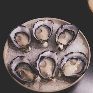 Sunday Sessions -Oyster Happy Hour