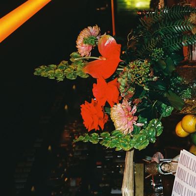 Mullumbimby Continental