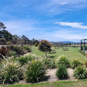 Wine Tasting & Cellar Door Experience At Boomer Creek Vineyard