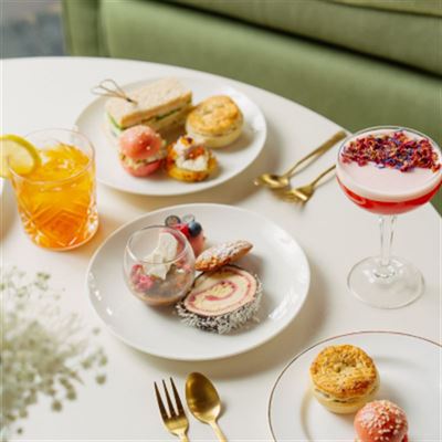 The Daintree Bar