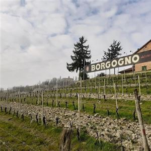 Borgogno Wine Dinner