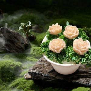 Mother's Day at Haidilao Hotpot Emporium