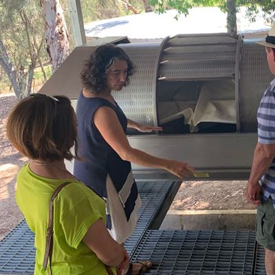 Upper Reach Vineyard