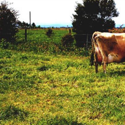 Caldermeade Farm & Cafe