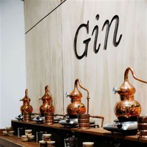 Wolf & Woman Gin School