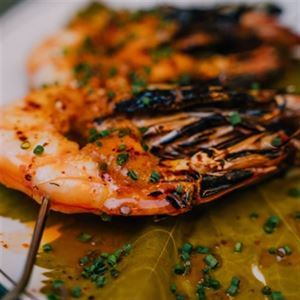 Where Good Food Meets Great Vibes