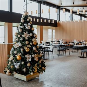 Christmas Day Lunch