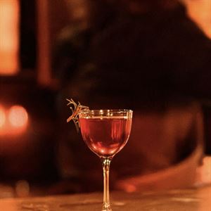 Adelaide’s Basement Cocktail Haven