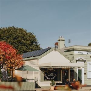 Lamezleighs: Your Year-Round Meeting Spot