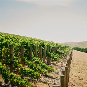 BY FARR WINE DINNER 2026