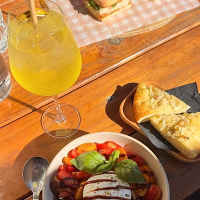 Bacco - More Than Wine
