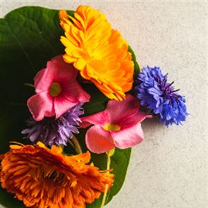 Spring Prelude dinner