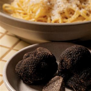 Black Truffle Season at Mordeo