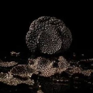 Thursday Truffle Nights