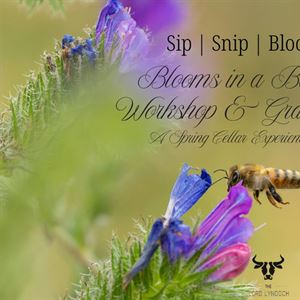 Sip, Snip & Bloom - Paper bloom workshop + grazing