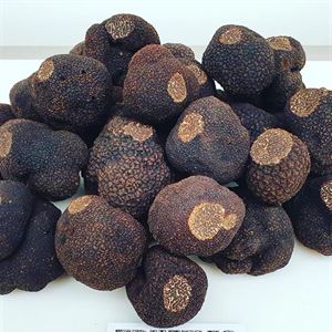 Margaret River Gourmet Truffle