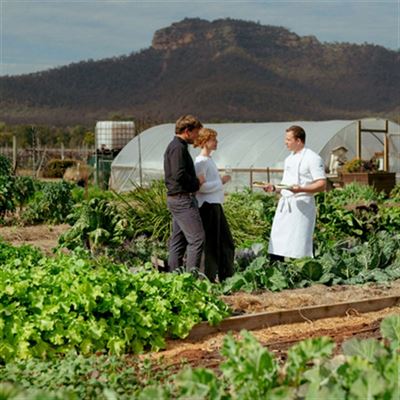Margan Restaurant